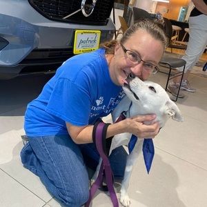 Meet your Posher, Lynn